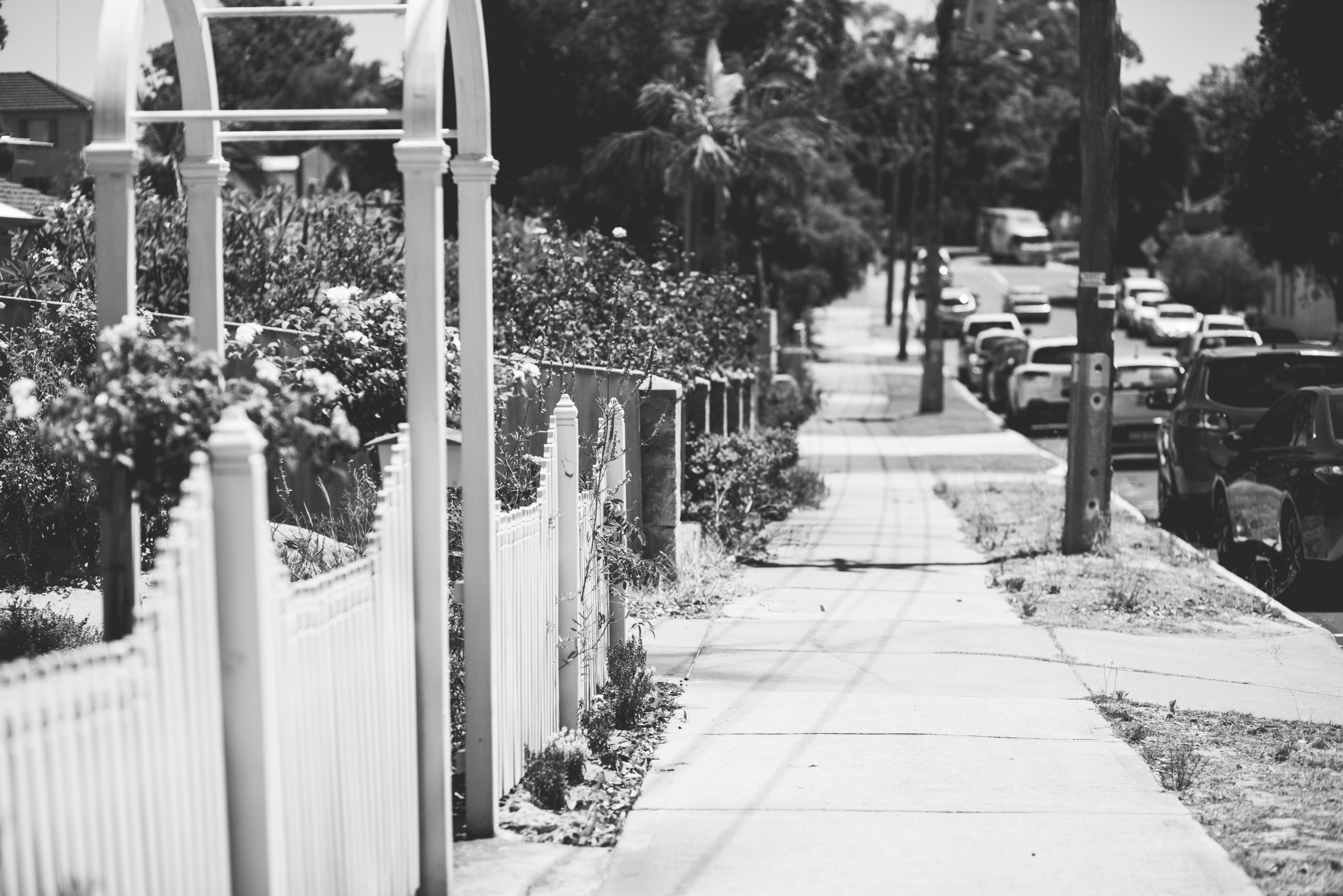 Jones and Co property bassendean